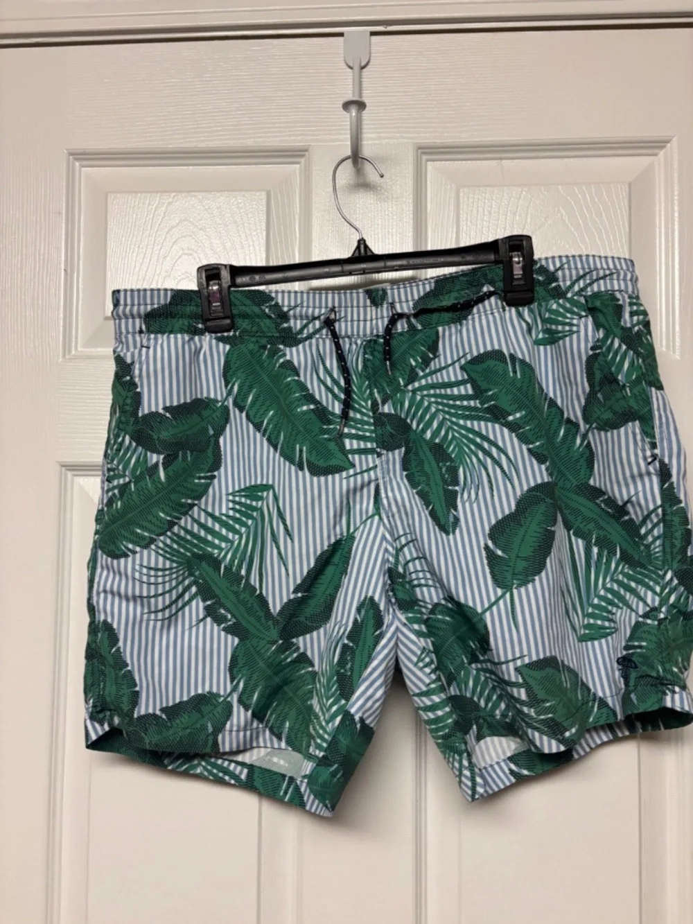 Swim Critters Palm Beach Swim Trunks Size: L